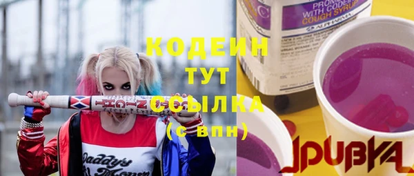 дмт Переславль-Залесский