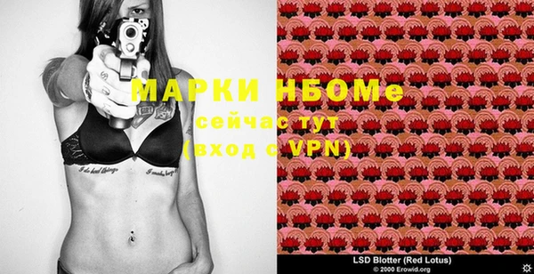 шишки Верхнеуральск