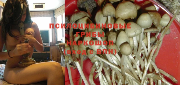 кокс Верея