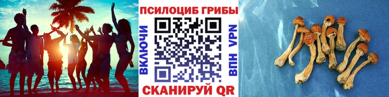 Купить  Серов  Галлюциногенные грибы мицелий 